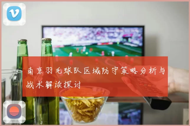 南京羽毛球队区域防守策略分析与战术解读探讨