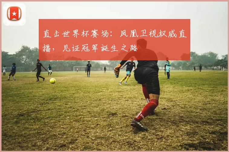 直击世界杯赛场:凤凰卫视权威直播,见证冠军诞生之路