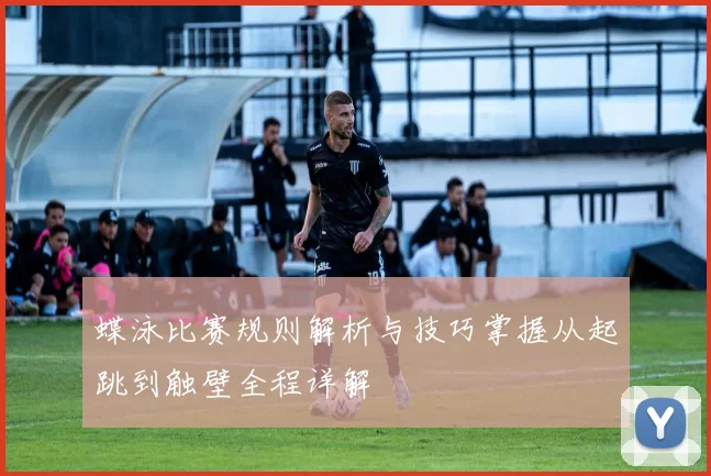 蝶泳比赛规则解析与技巧掌握从起跳到触壁全程详解