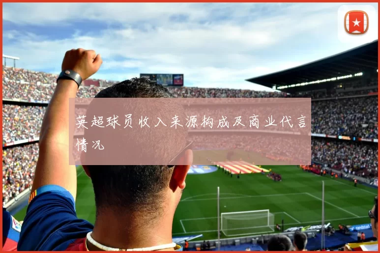 英超球员收入来源构成及商业代言情况