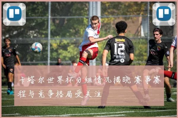 卡塔尔世界杯分组情况揭晓 赛事赛程与竞争格局受关注