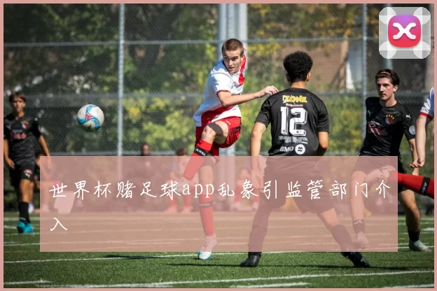 世界杯赌足球app乱象引监管部门介入